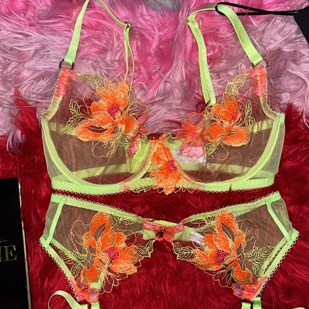 Honey birdette Christine 4pc neon 34D medium garter large thong medium stockings - Picture 6 of 11
